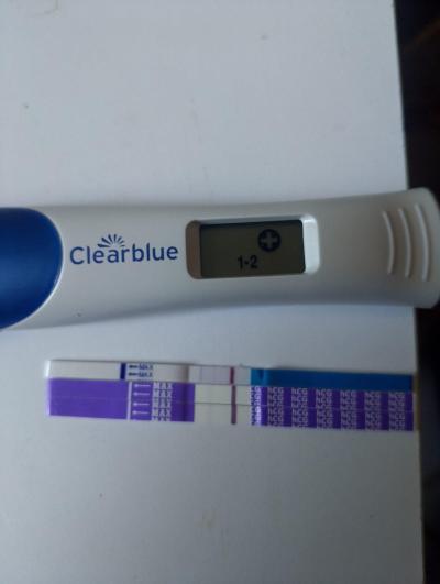 Testování a těhotenský test | Snažilky 2025