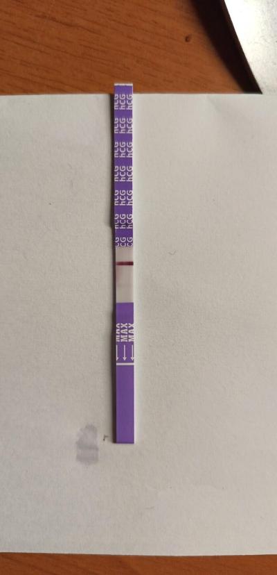 Testování a těhotenský test | Snažilky 2025