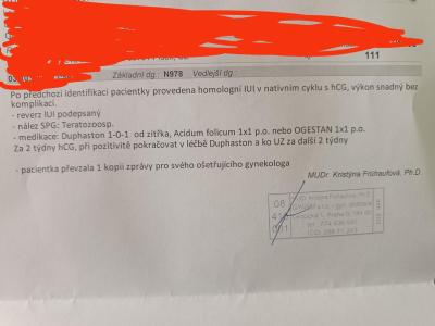 Neplodnost | Gynem Praha 8 IUI