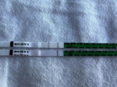 Testování a těhotenský test | Mohla ovulace proběhnout ve spánku?