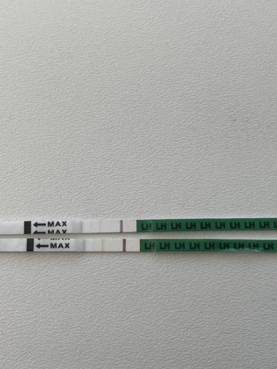 Testování a těhotenský test | Je ovu test silnější?