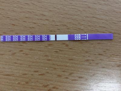 Testování a těhotenský test | Možné/nemožné těhotenství.