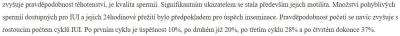 Snažení | IUI 2024