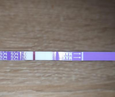 Testování a těhotenský test | Duch, ryska, nebo halucinace?