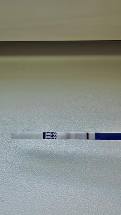 Testování a těhotenský test | Snažilky 2025