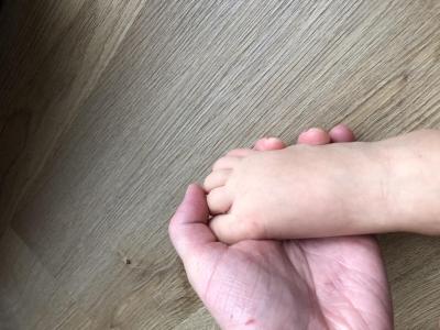 Zvířata | Stenice nebo blecha? Od ceho kousnuti?