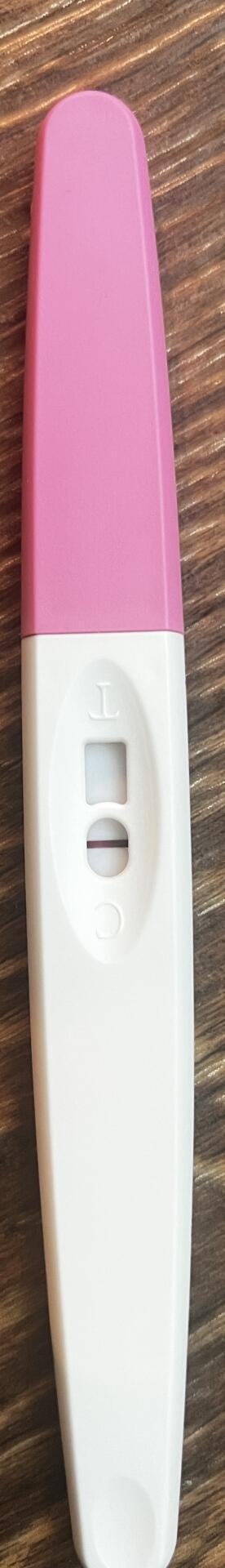 Testování a těhotenský test | Ducháčkové, jsou tam?