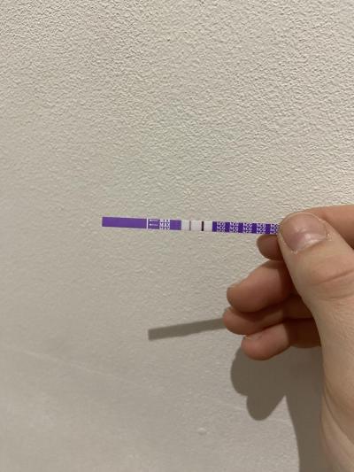 Testování a těhotenský test | Snažilky 2025