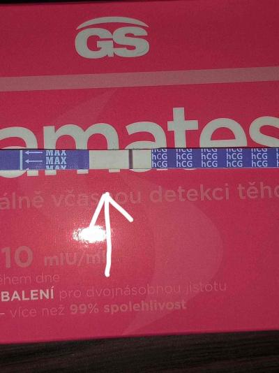 Testování a těhotenský test | Ryska na těhu testu