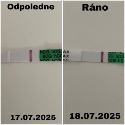 Testování a těhotenský test | Jsou pozitivní?? Prosím o radu