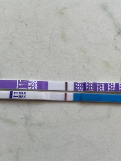 Testování a těhotenský test | Je to jen ryska?