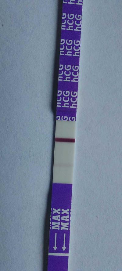 Centra asistované reprodukce | IVF/KET 2025