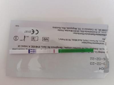 Testování a těhotenský test | Pozitivní ovulační test?