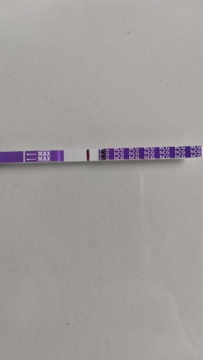 Testování a těhotenský test | Prosím, vidím tam něco?