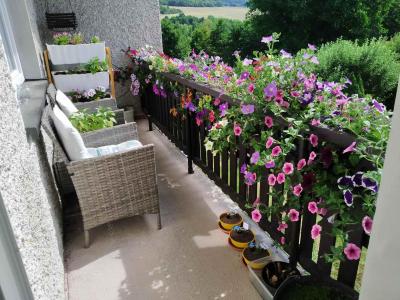 Květiny a zahrada | Balkon s přímým sluncem
