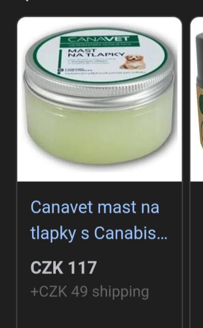 Zvířata | Čím mazat psovi polštářky?