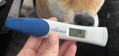 Testování a těhotenský test | Duch nebo čárka?