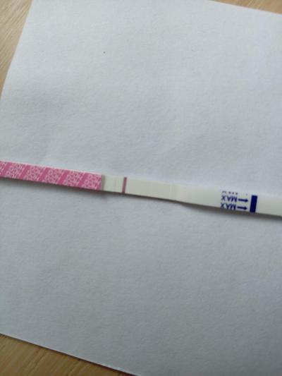 Testování a těhotenský test | Snažilky 2025