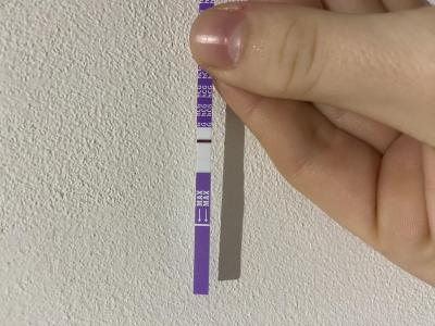 Testování a těhotenský test | Snažilky 2025