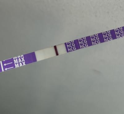 Testování a těhotenský test | Falešná nebo duch?