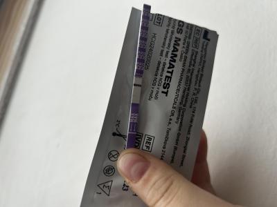 Testování a těhotenský test | Holky tak co? Vadný?