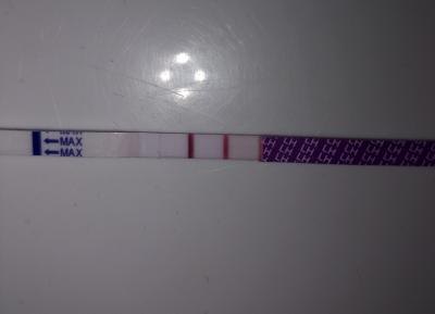 Testování a těhotenský test | Kdy se snažit
