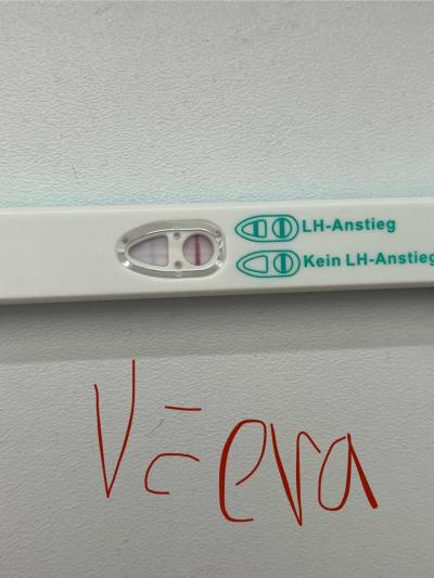 Testování a těhotenský test | Silici ovu test 2 dny pred ms?