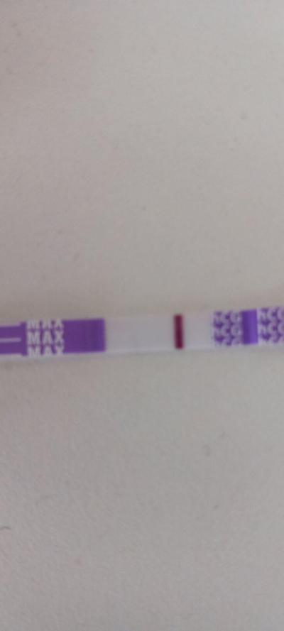 Testování a těhotenský test | Hormoni na testu