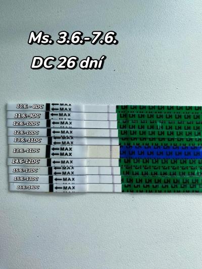 Testování a těhotenský test | Ovulační test- rady a zkušenosti