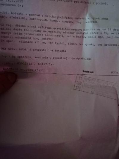 Těhotenství | Mám se bát nebo můžu být v Klidu?