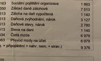 Daňové přiznání | Daně budu mít přeplatek ?