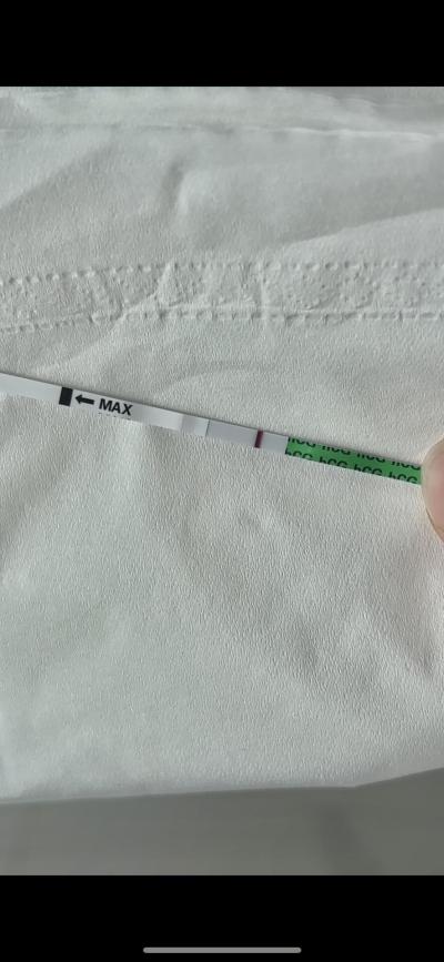 Testování a těhotenský test | Zkoušení testu, co myslíte?
