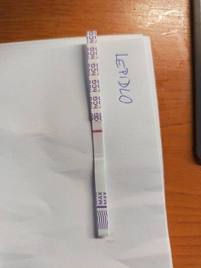 Testování a těhotenský test | Snažilky 2025