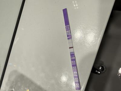 Testování a těhotenský test | Tt