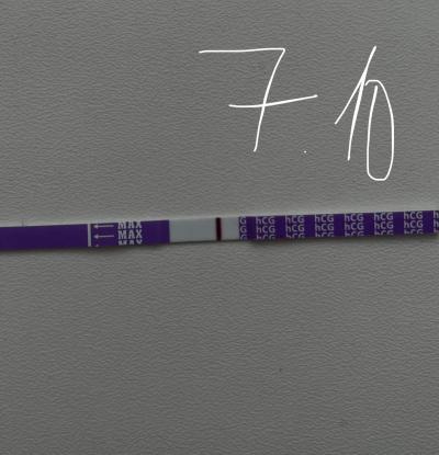 Testování a těhotenský test | Snažilky 2025