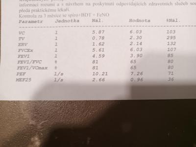 Dětské nemoci | Astma bronchodilatační test - vysvětlení výsledků