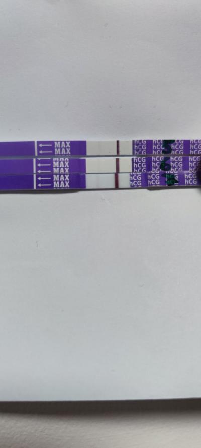 Testování a těhotenský test | Snažilky 2025