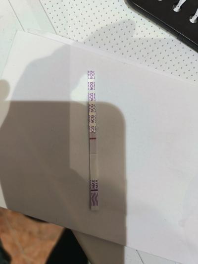 Testování a těhotenský test | Snažilky 2025