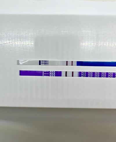 Těhotenství | Pozitivní test a termín porodu červenec 2026
