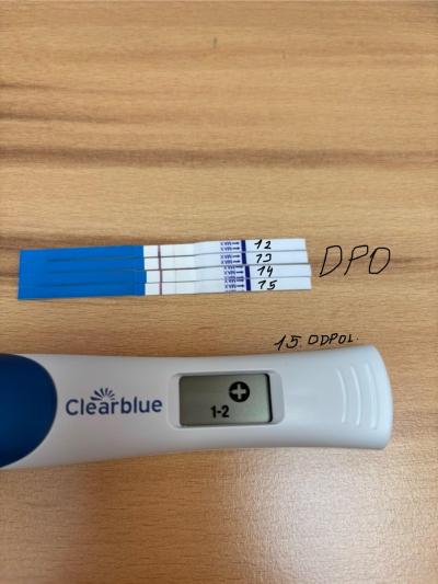Testování a těhotenský test | 10 dpo, vím brzy, ale…