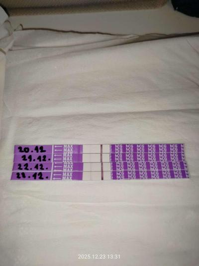 Testování a těhotenský test | Foto: Těhotenský test - co myslíte