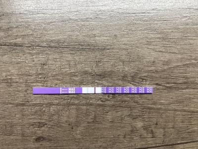 Testování a těhotenský test | KET DUBEN 2025