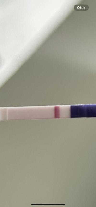 Testování a těhotenský test | Vidíte tam ducha?