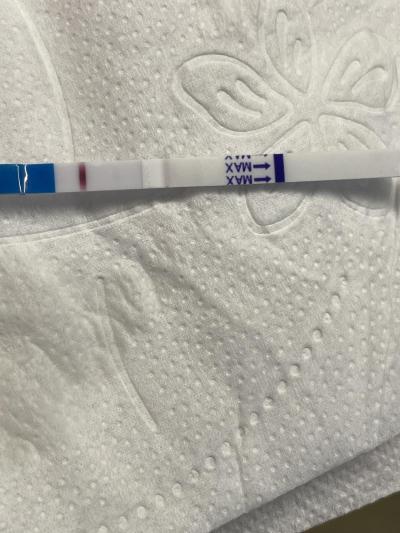 Snažení | Embryotransfer 4AA