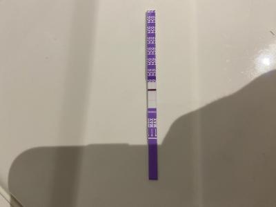 Testování a těhotenský test | Snažilky 2025