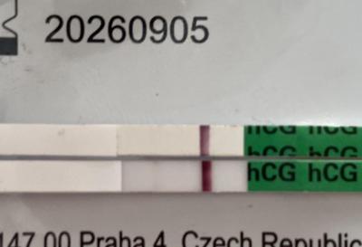 Testování a těhotenský test | Krvácení při tehotenstvy nebo jen ms
