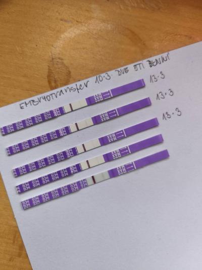 Centra asistované reprodukce | IVF/KET 2025