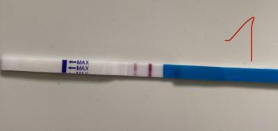 Testování a těhotenský test | Těhotenství před ms po potratu