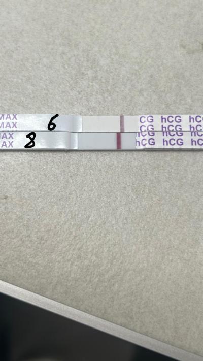 Testování a těhotenský test | 8 dní od ovitrelle