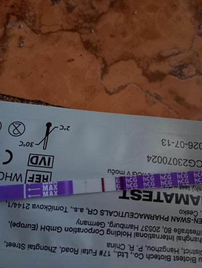 Testování a těhotenský test | Test 4+6 prosím o názor